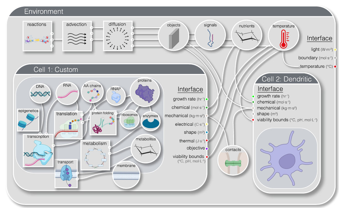 Metamodeler Overview